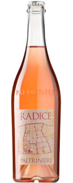 25 DOC Lambrusco di Sorbara, Radice 2024, Paltrinieri